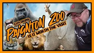 Is Paignton Zoo Worth The Visit? A Fun-filled Day To Find Out!