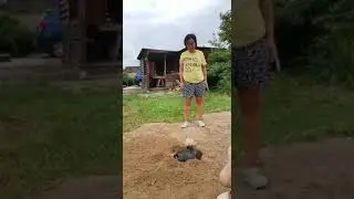 СМЕШНЫЕ НАШИ БРАТЬЯ МЕНЬШИЕ ❤️