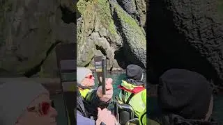 Icelandic R I B guide Thor