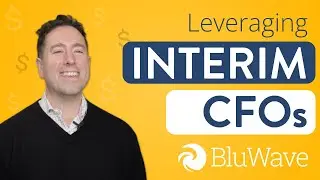 In the Know: Leveraging Interim CFOs | BluWave