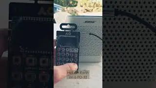 Hell On Earth -Mobb Deep remade on a PO33 with no screen 