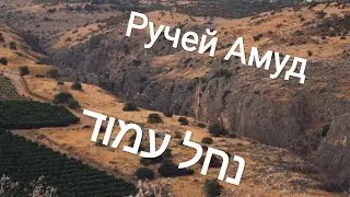 Ручей Амуд | Кабан | Даманы