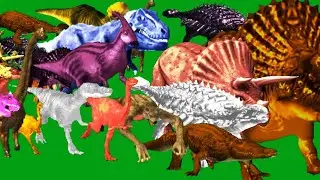 Green Screen Animals Stampede Left to Right Running Walking Green Screen Blue Screen Black Screen HD