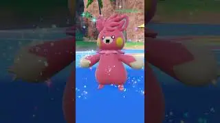 SHINY PAWMI to SHINY PAWMOT In Pokemon Scarlet & Violet