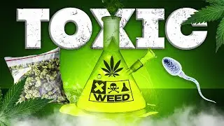 Top reasons why weed is toxic for your sperm