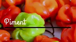 Recette de piment très facile ♡