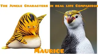 All The Jungle Bunch Characters in real life Comparison