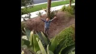 NeverEnding Story | Funny Vine
