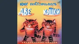 Как поссорились две кошки