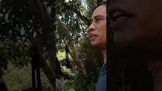 sa bundok na kami nag meryenda