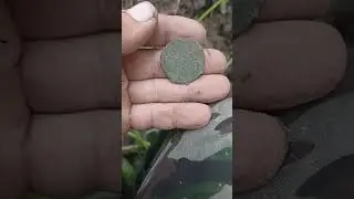Рядом же #metaldetecting #поисксметаллоискателем #металлоискатель #коп #coin #клад