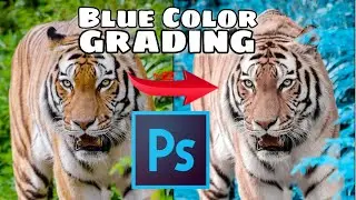 Cinematic Dark Blue Color grading photoshop tutorial