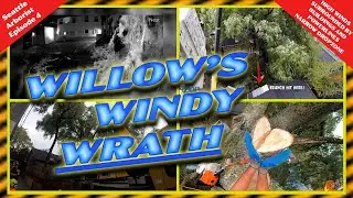Willow's windy WRATH Part 1