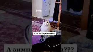 Предлагала мужу заказать роллы и пиццу