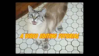 a video editing tutorial 📺 retro tv effects