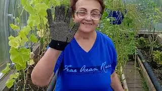это влог мы на даче а ты очень крутые деньки!!! 🤝🤝🤝