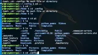 Raspberry Pi Remote Desktop Access - VNCViewer / Expand SD Card / Change Password