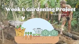 Backyard Gardening Project: Philippines Climate ( Week 1 )  #backyardgardening