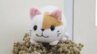 Cat Plush - Video Tutorial Highlight