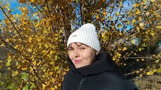 Знову в бігах! Швидкий огляд магазинів Аврора, Файно Маркет, Делікат!
