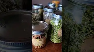I spent the day celebrating the Winter Solstice by organizing my herb jars in my apothecary. LOVE!!