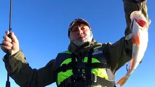 ОКУНЯ ЛОПАТЫ НА СПИННИНГ! Рыбалка на спиннинг на озере.