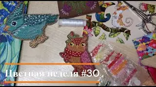 Цветная неделя 30 // 25.08.2023 - 31.08.2023 //Птичьи процессы. Недельные продвижения