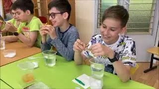 Летняя школа SUMMERSKILLS 2023 - День 13
