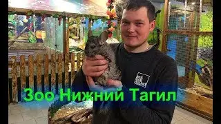 Поход в зоопарк г Нижний Тагил ( тест новой камеры съёмка без настроек )