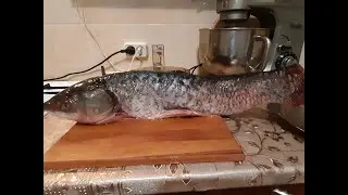 Как вкусно пожарить рыбу Белый амур.Маринуем рыбу для жарки.