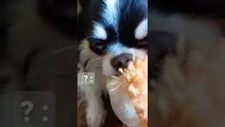 Смешно 😂😂😂
