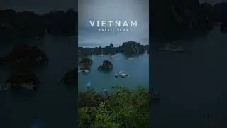 Халонг переводится как «там, где дракон спустился в море». Бухта включает в себя более 3000 островов