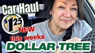 THIS WEEKS DOLLAR TREE CAR HAUL