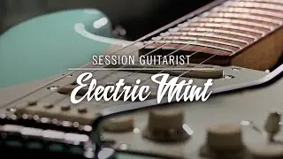 Introducing SESSION GUITARIST – ELECTRIC MINT | Native Instruments