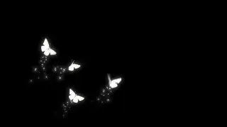 White butterfly particles effect black screen | Butterfly flying effect black screen