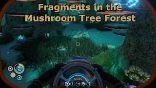 Subnautica 08 Fragments in the Mushroom Tree Forest