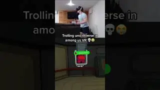 Kid Trolls Me in Among Us VR
