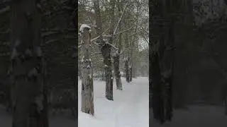 А на Урале месяц май 🤍