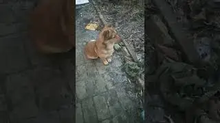 С Новым днём!