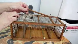 Новый проект.Западёнка - хлопушка с самоловом на верху.