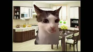 как проходят мои выходные: