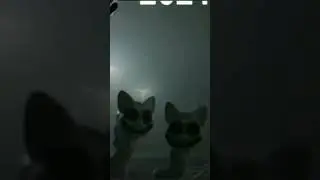 белый мультяшный кот