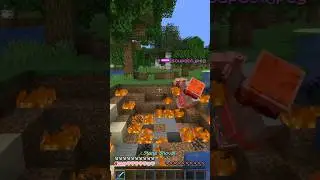 Never trusting my friends again #fyp #shorts #minecraft #smp #memes #minecraftmemes