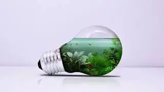 Light Bulb Aquarium