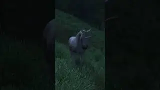 Oblivion's Unicorn! 