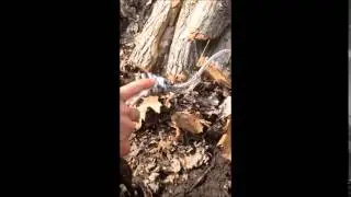Logging Stuff:  How to Move Logs