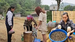 Catch a lot of snails to sell and take care of the family. Ly Vy Ca