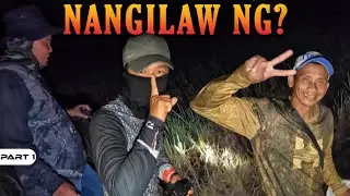 P1 - Nangilaw ng Palaka, Iba ang Nahuli - EP1566
