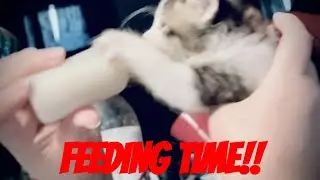 Feeding Time!!