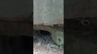 #бункер